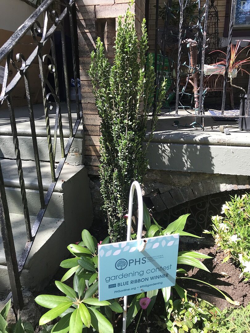 Beautiful and perfect height