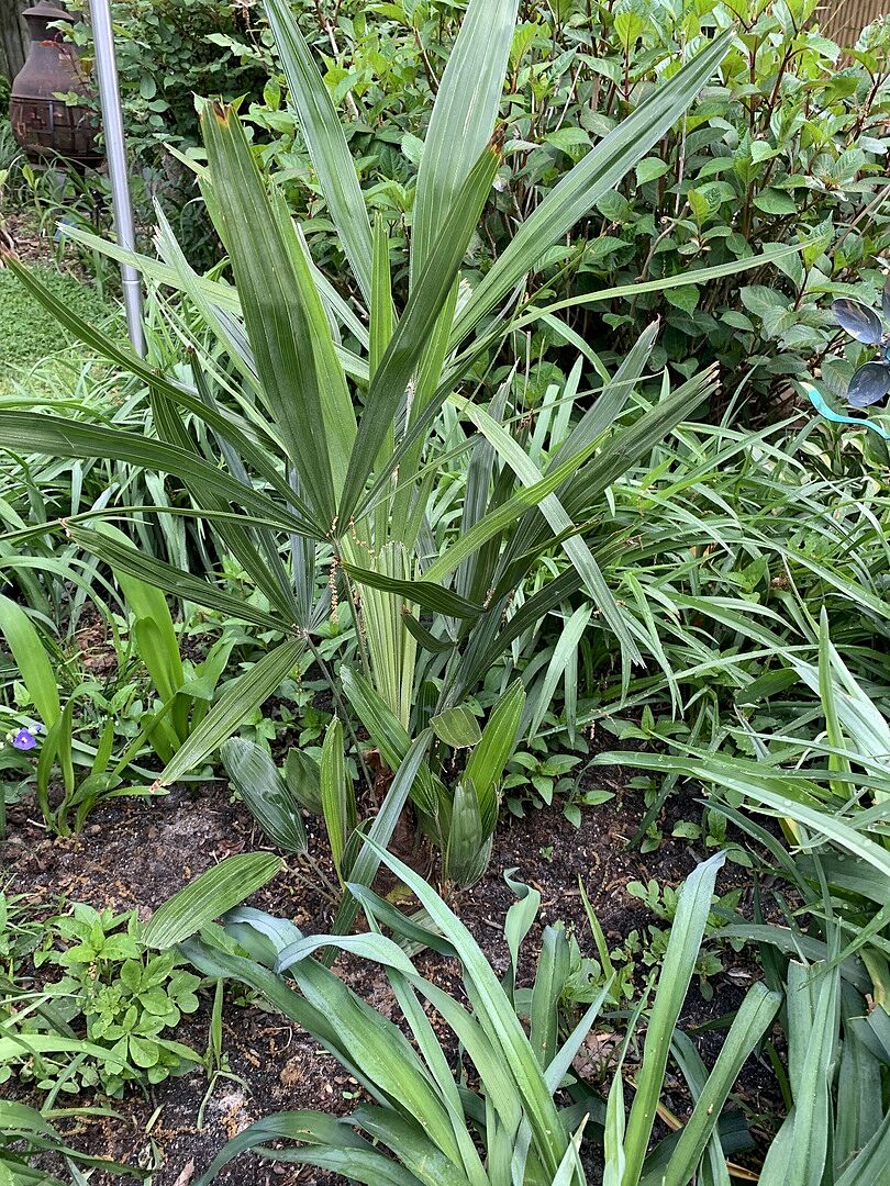 Product arrived on schedule in