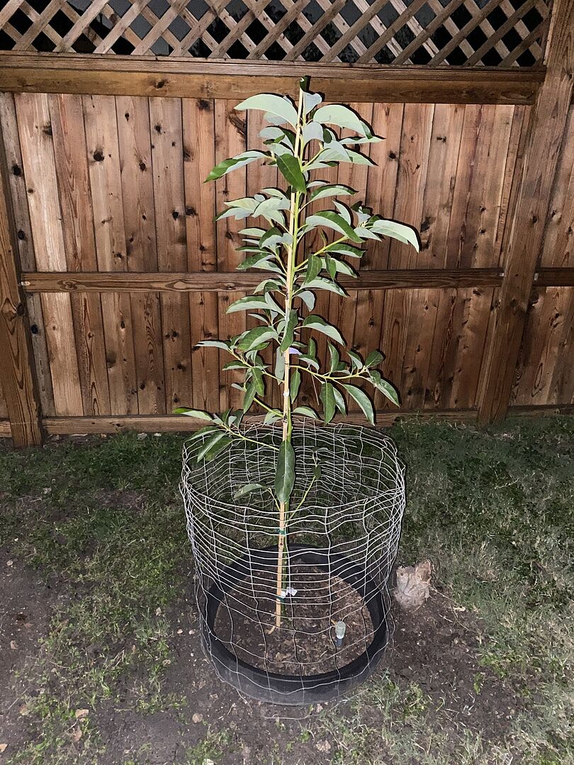 So far so good. It’s