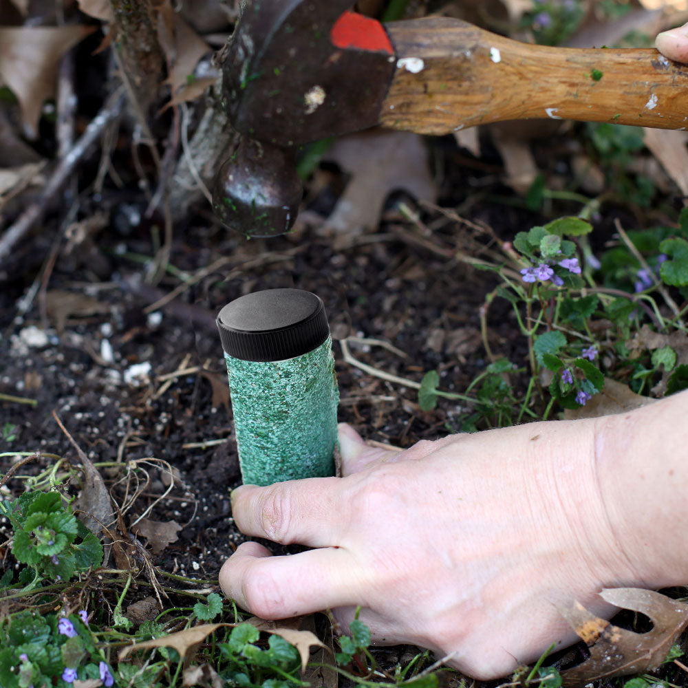 #3 - Palm Tree Fertilizer Spikes