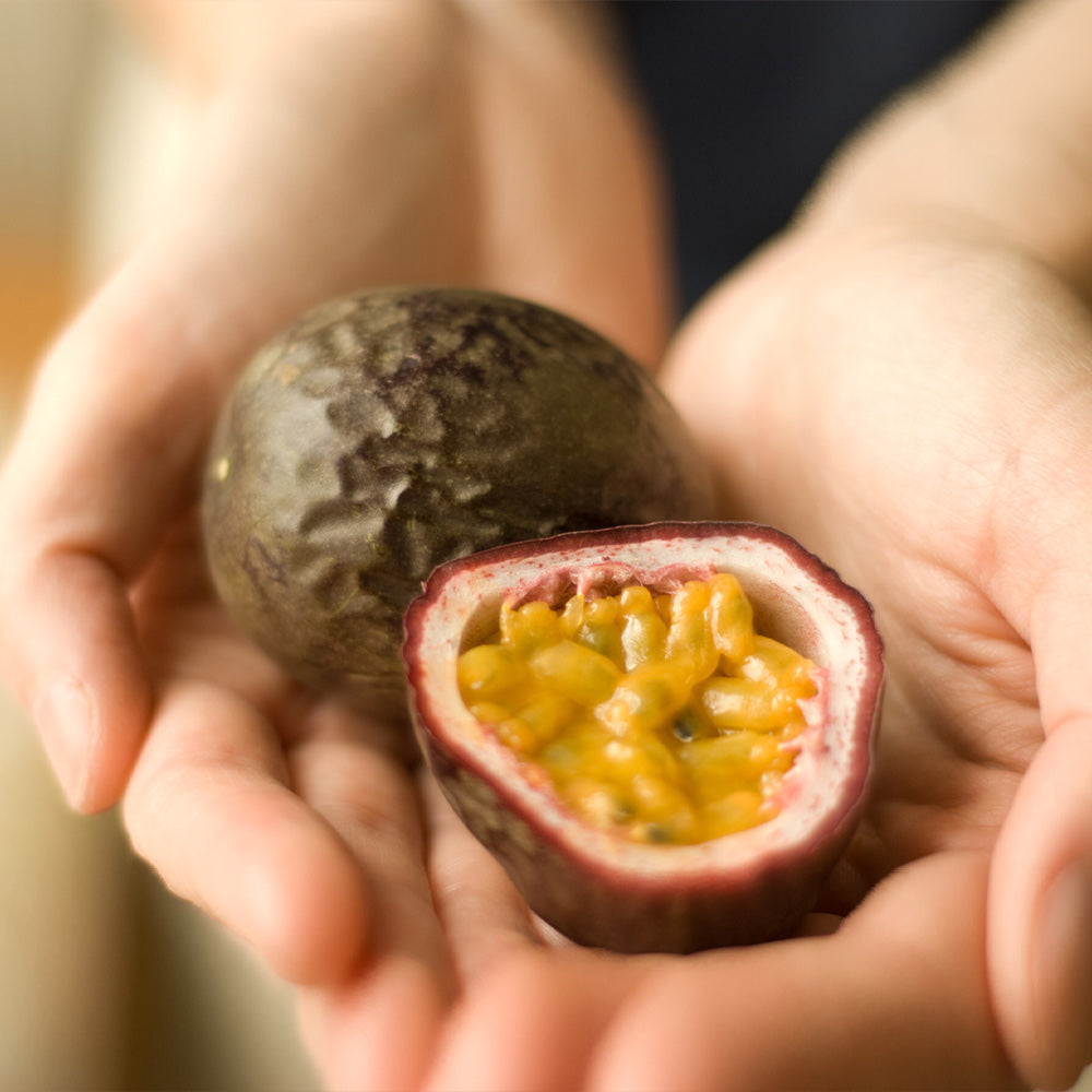 #4 - Passion Fruit Vine