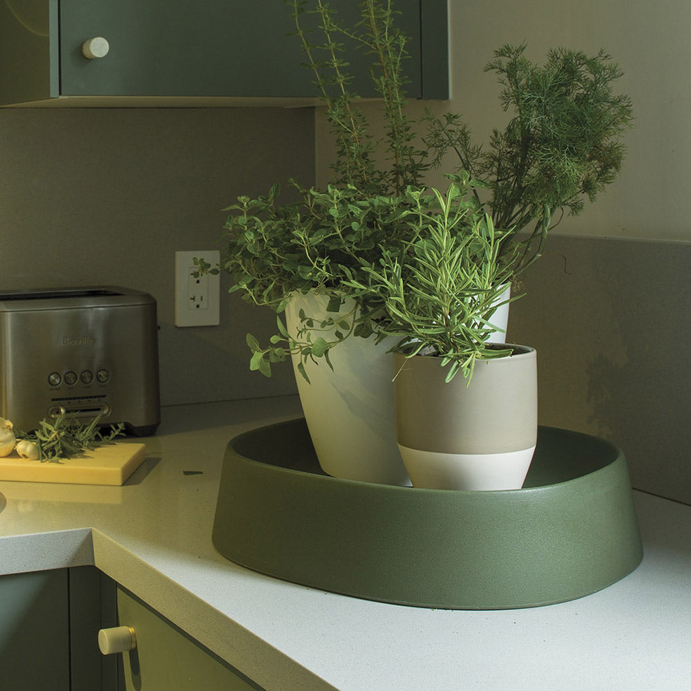 #5 - Pebble Plant Caddy