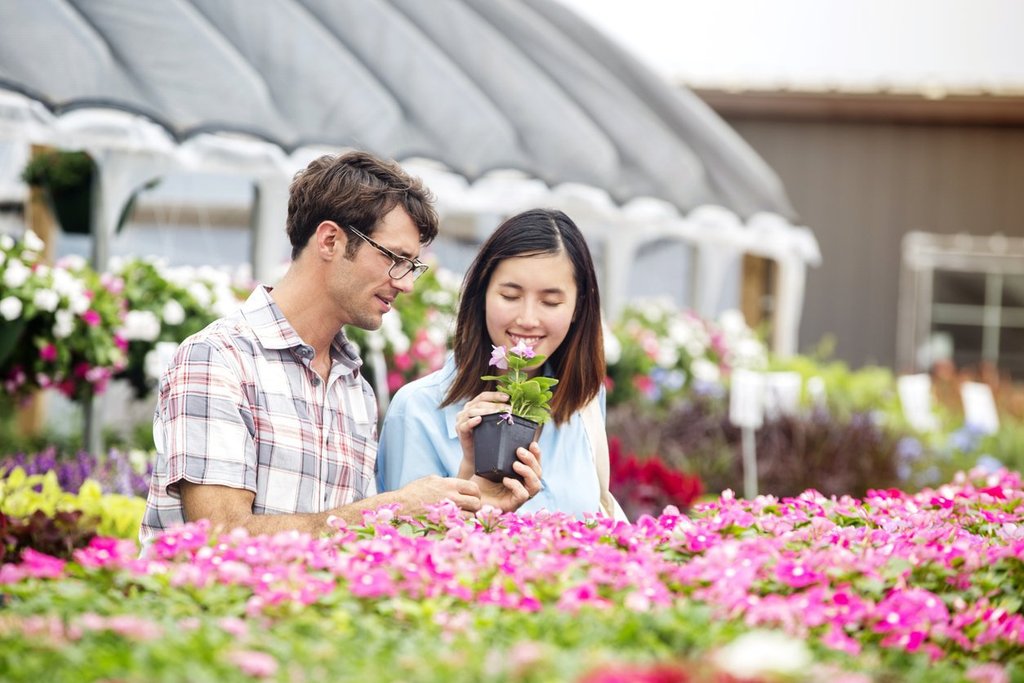 Planting 101: Getting a Green Thumb