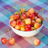 Rainier Cherry Tree