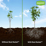 Root Rocket Fertilizer