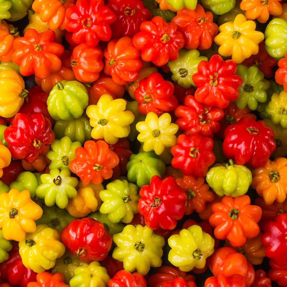 #3 - Star Cherry Tree