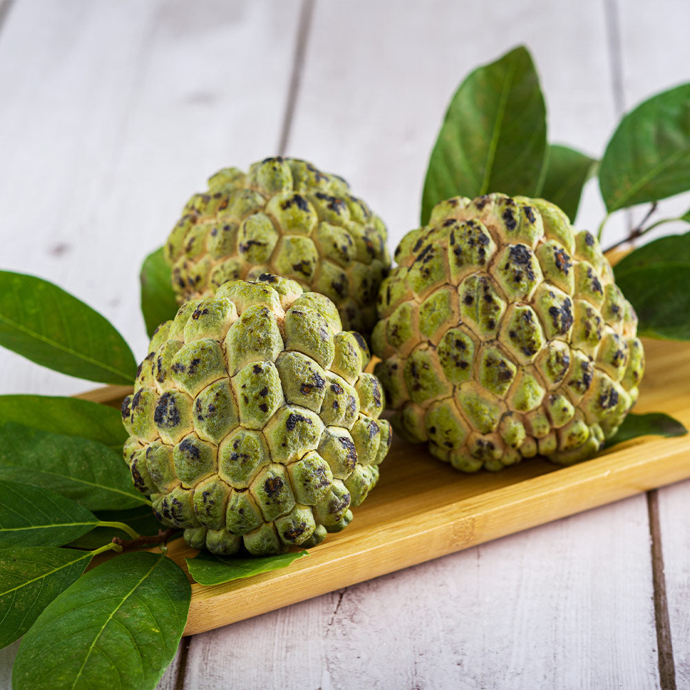 #2 - Sugar Apple Tree