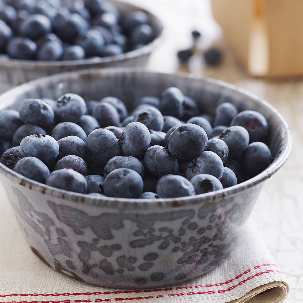 #2 - Sweetheart Blueberry Bush