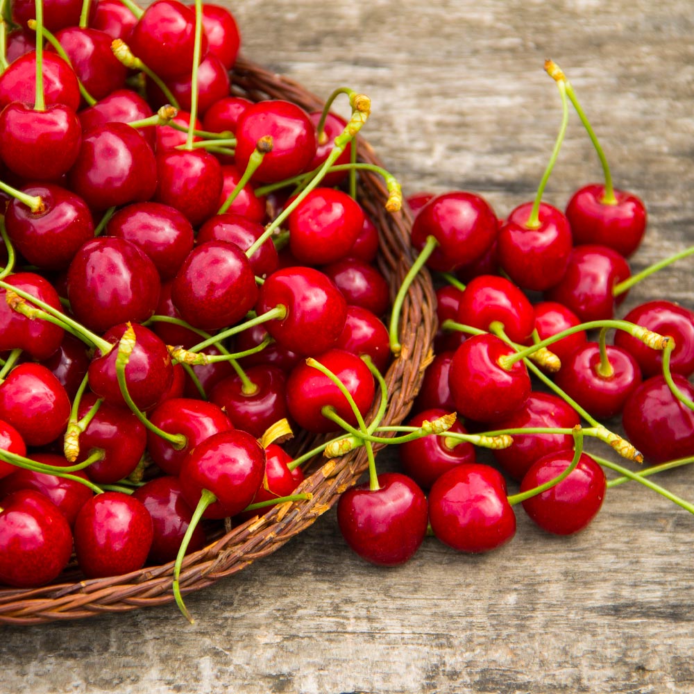 #2 - Sweetheart Cherry Tree