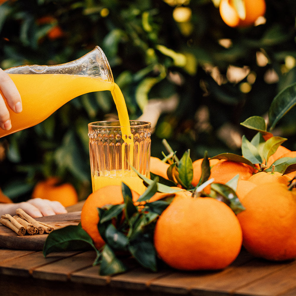 #4 - Valencia Orange Tree